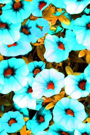 现代印花华亿平台图片