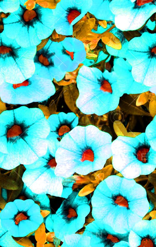 现代印花华亿平台图片