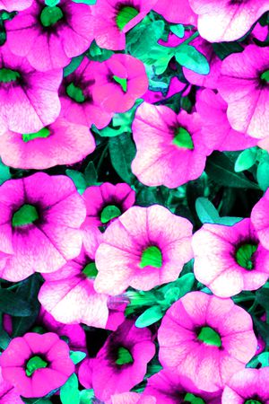 现代印花华亿平台图片