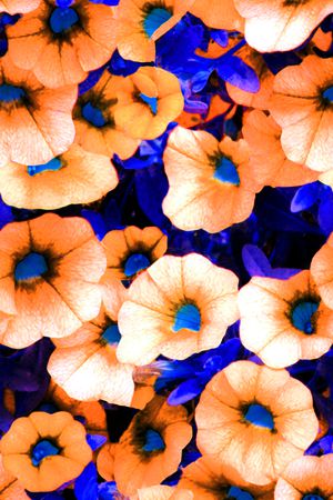 现代印花华亿平台图片