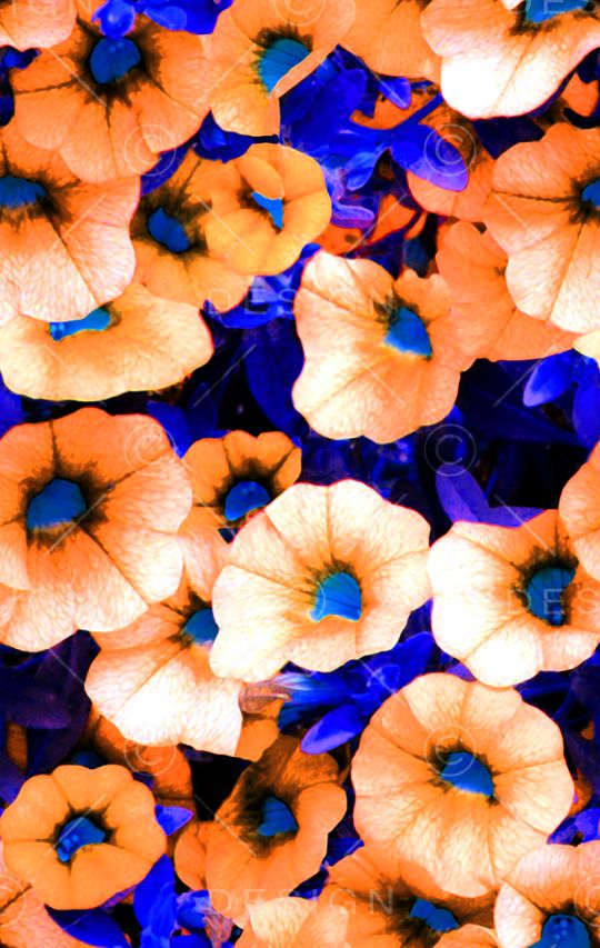 现代印花华亿平台图片