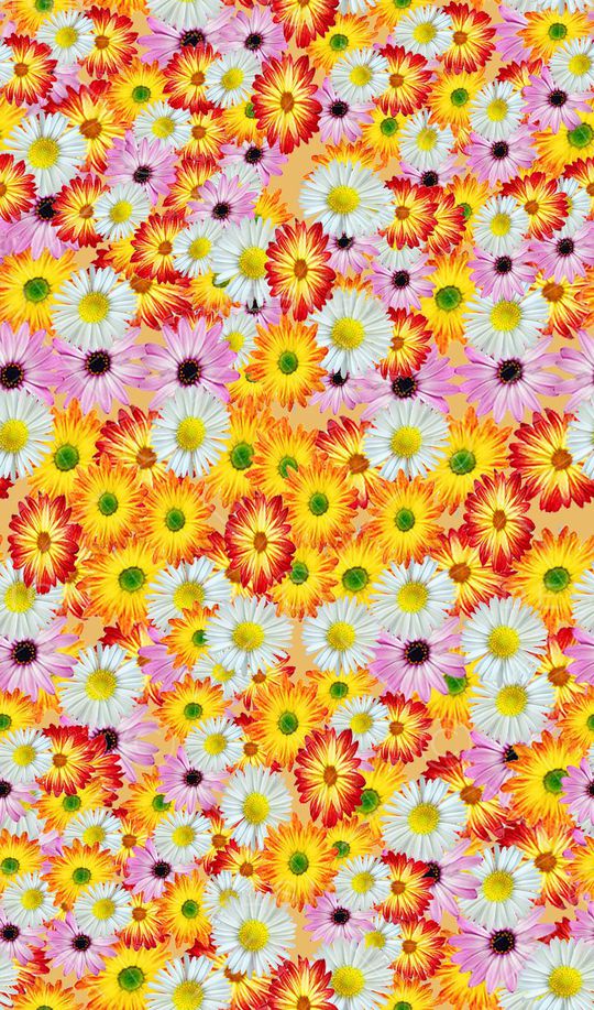 花丛印花华亿平台图片