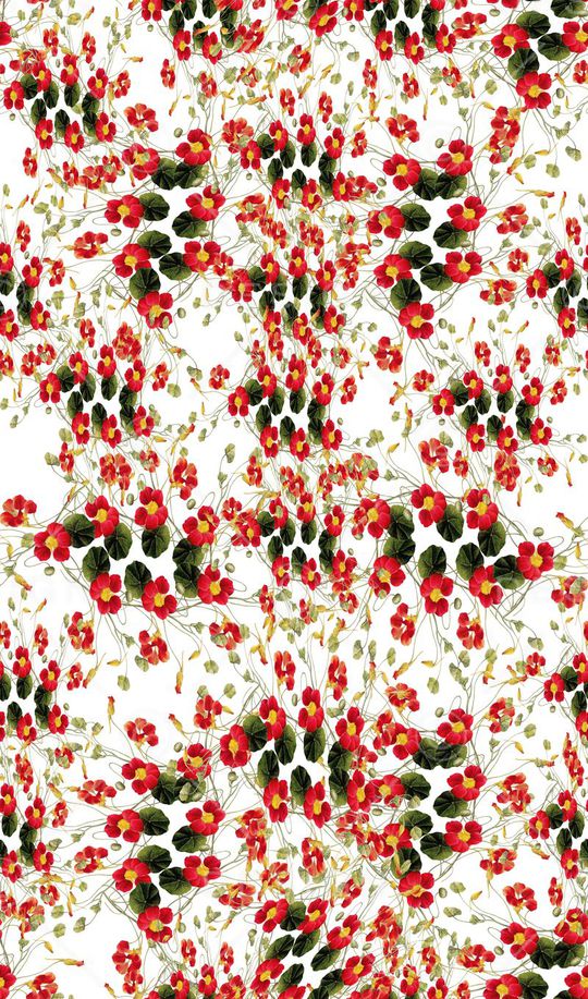 服装印花华亿平台图片