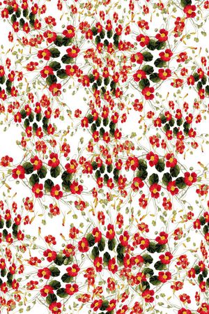 服装印花华亿平台图片