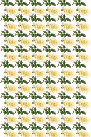 花花印花华亿平台图片