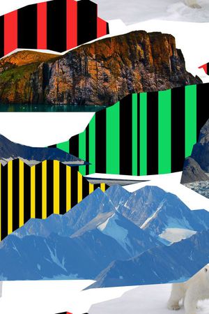 北极熊印花华亿平台图片