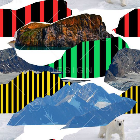 北极熊印花华亿平台图片