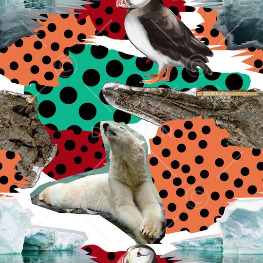 北极熊印花华亿平台图片