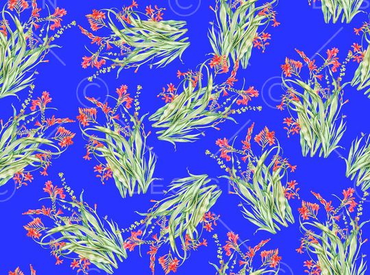 复古印花华亿平台图片