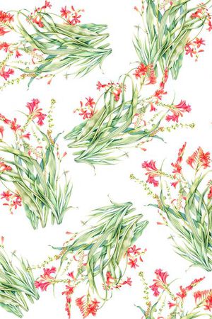 复古印花华亿平台图片