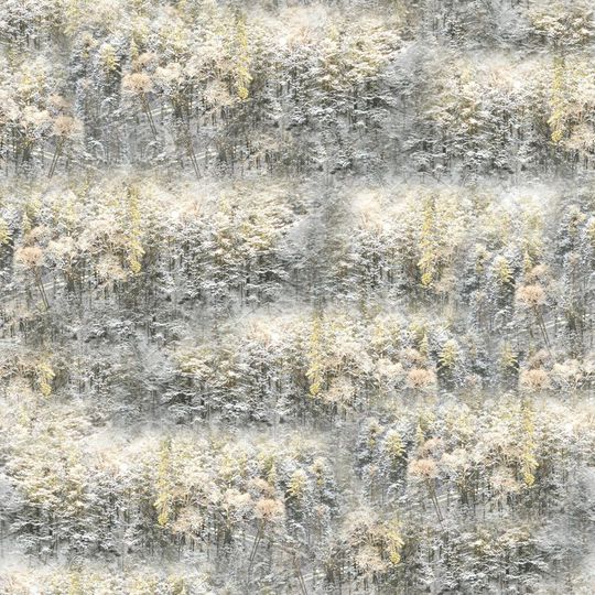 潮流印花华亿平台图片