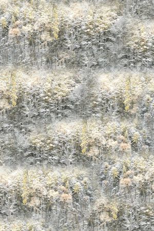 潮流印花华亿平台图片