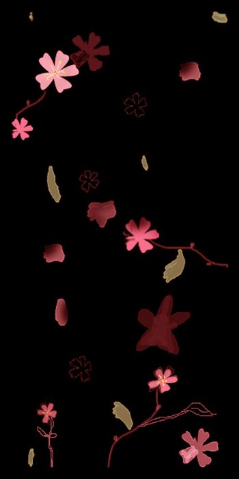 464161-随意像花开