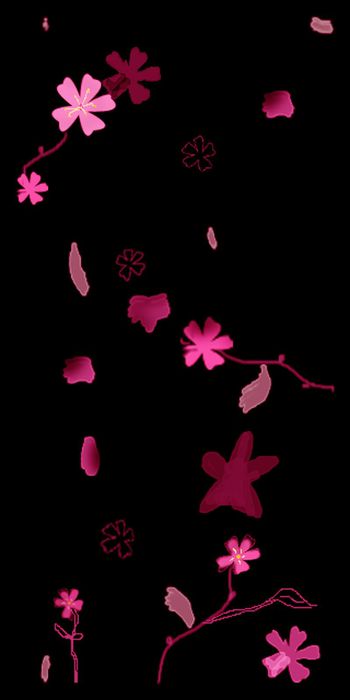 464162-随意像花开