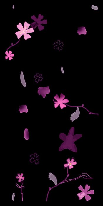 464164-随意像花开