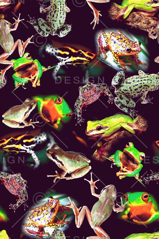 动物印花华亿平台图片