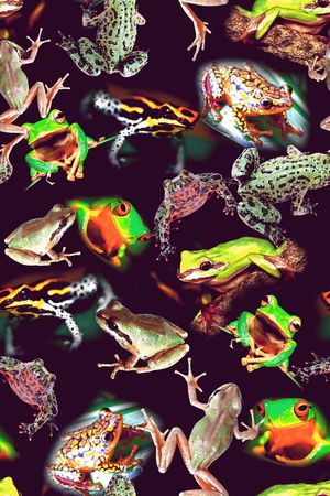 动物印花华亿平台图片