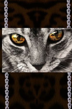 动物印花华亿平台图片