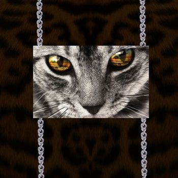 动物印花华亿平台图片