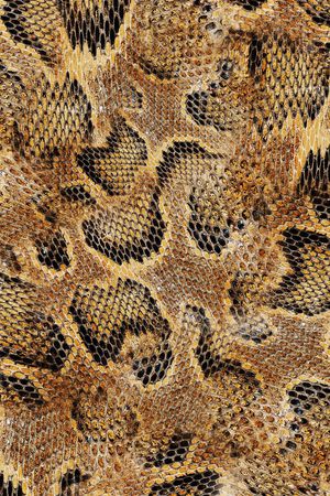 时尚印花华亿平台图片