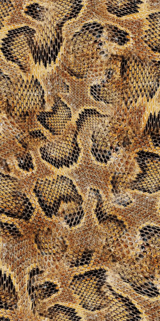 时尚印花华亿平台图片