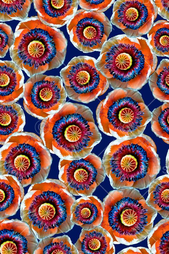 大花印花华亿平台图片