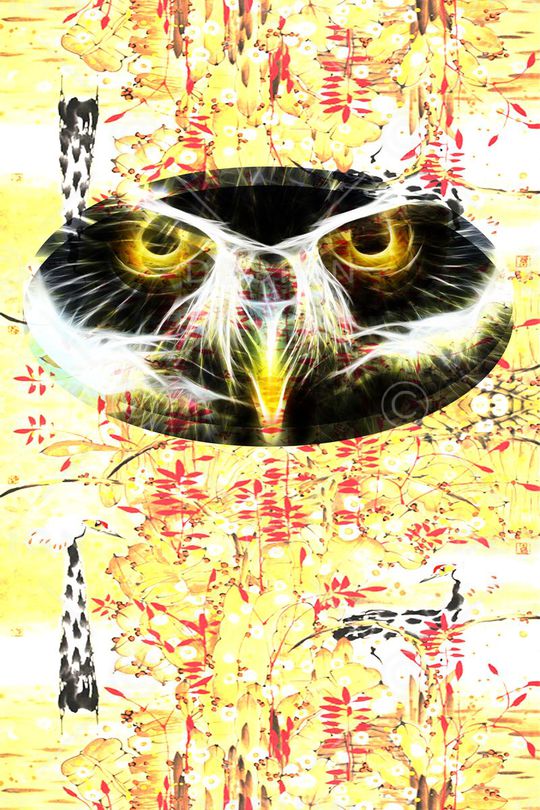 单一印花华亿平台图片