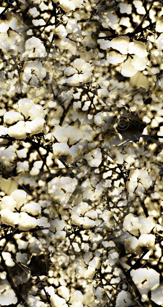 创意印花华亿平台图片