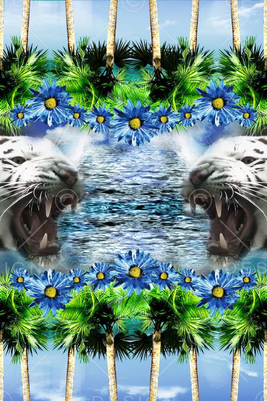 热带印花华亿平台图片