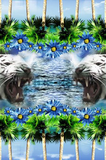 464572-热带 植物 花卉 虎头 数码 服装