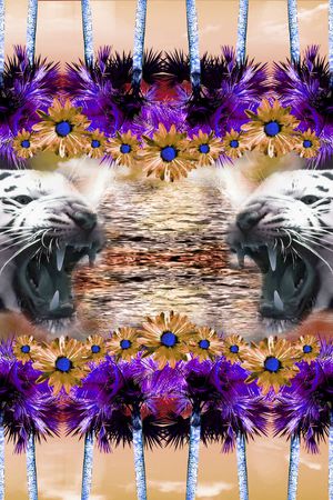 热带印花华亿平台图片