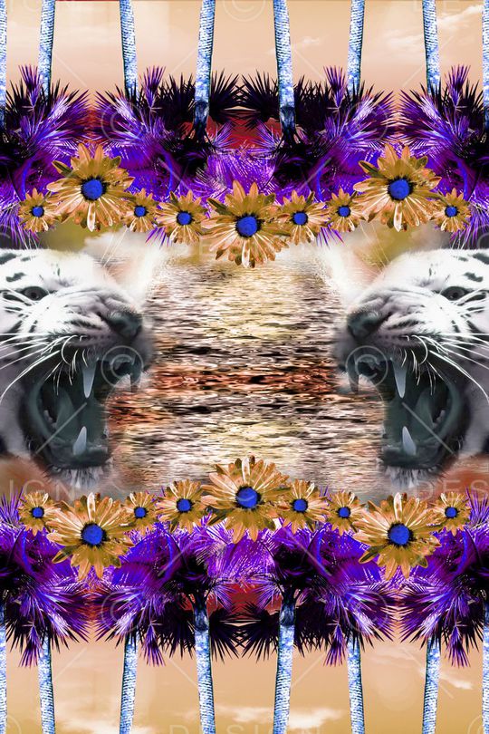 热带印花华亿平台图片