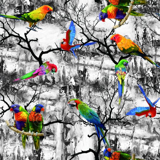 动物印花华亿平台图片