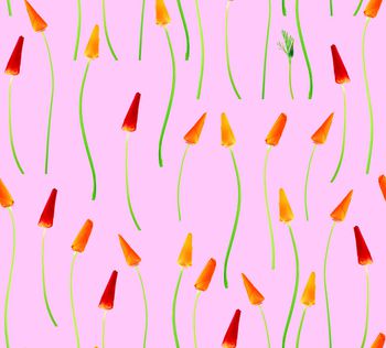 464685-条条花鲜花