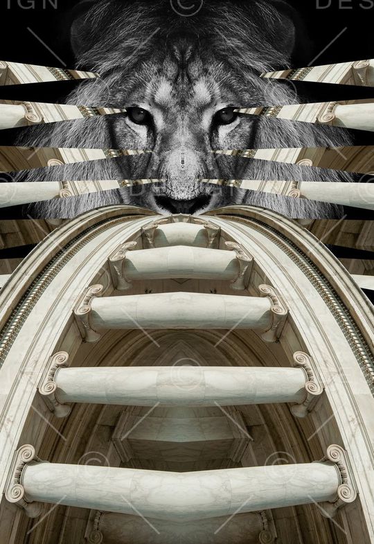 时尚大牌印花华亿平台图片