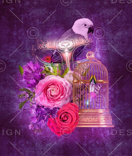 T恤图案印花华亿平台图片