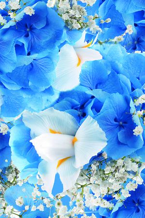 布匹印花华亿平台图片