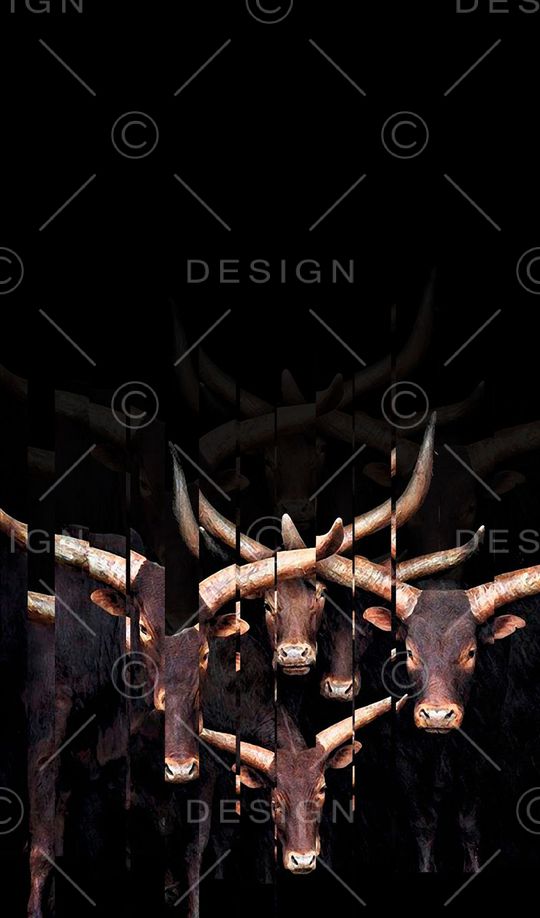 时尚潮流印花华亿平台图片