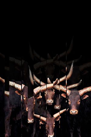 时尚潮流印花华亿平台图片