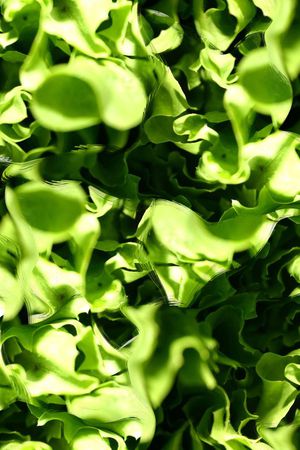 复古印花华亿平台图片