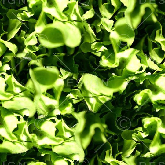 复古印花华亿平台图片