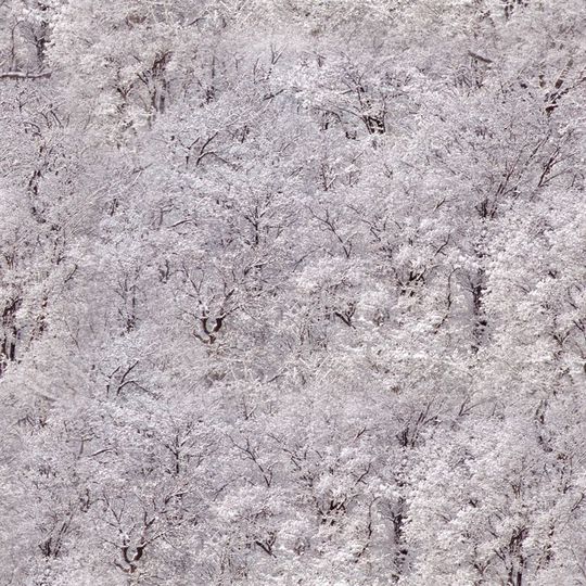 复古印花华亿平台图片