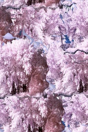 复古印花华亿平台图片