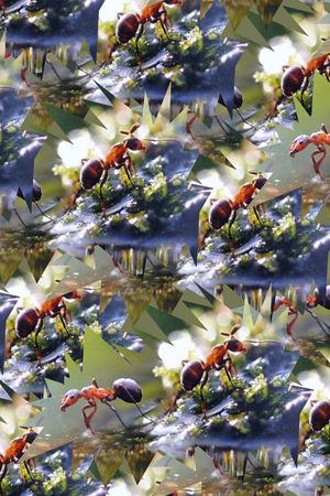 复古印花华亿平台图片