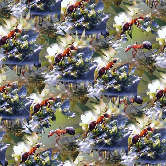 复古印花华亿平台图片