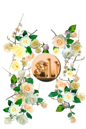 女装定位华亿平台印花华亿平台图片