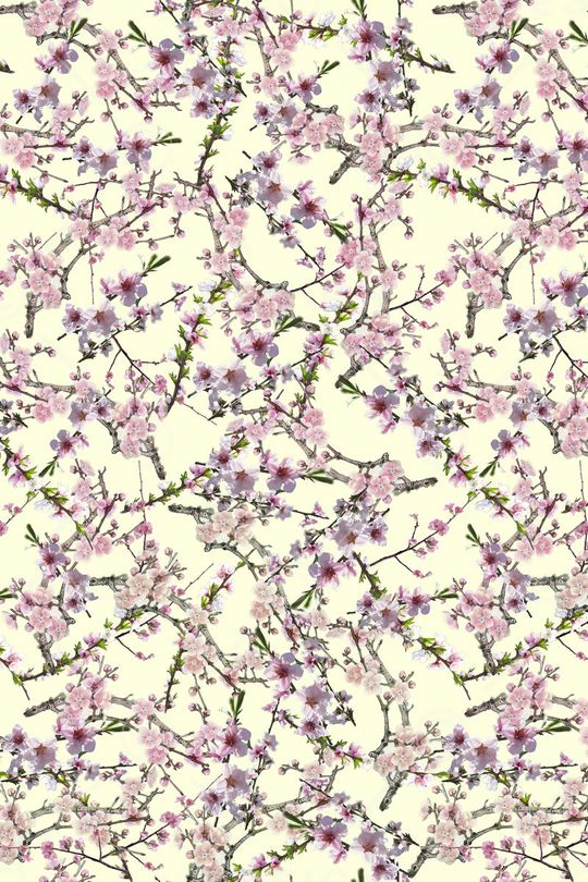 女装华亿平台印花华亿平台图片