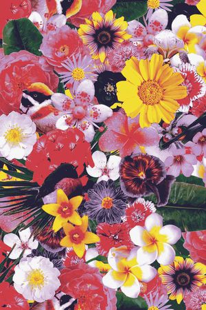 仿数码印花华亿平台图片