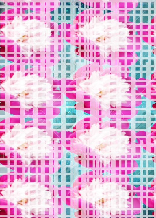 时尚印花华亿平台图片