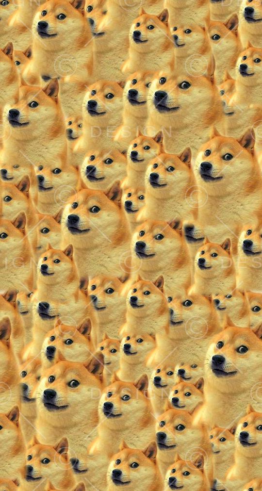 柴犬印花华亿平台图片